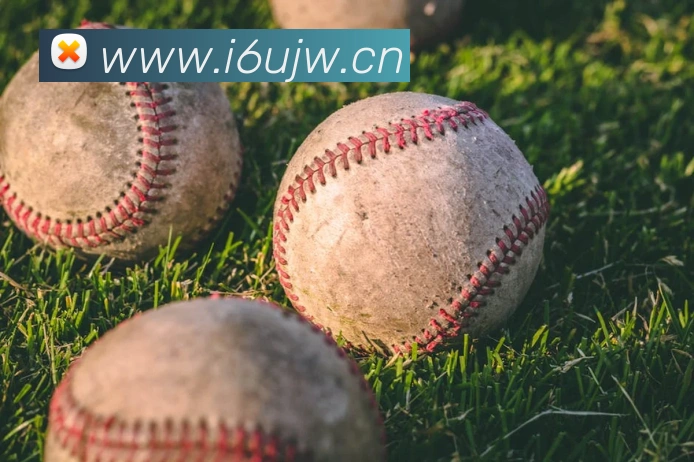 华体网体育官网服务体系